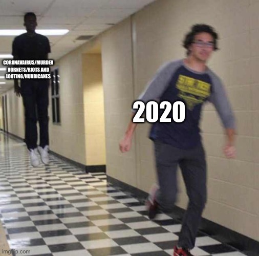 2020 pt2 | CORONAVIRUS AVAIRUS/MURDER HORNETS/RIOTS AND LOOTING/HURRICANES; 2020 | image tagged in floating boy chasing running boy,memes,2020,disaster | made w/ Imgflip meme maker