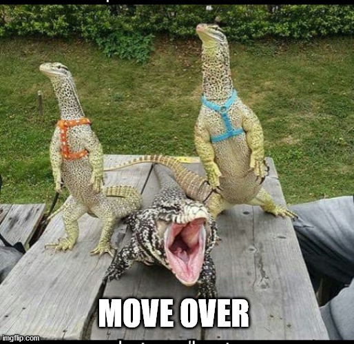 MOVE OVER | made w/ Imgflip meme maker