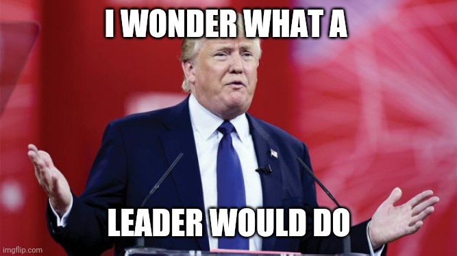 trump-question | I WONDER WHAT A; LEADER WOULD DO | image tagged in trump-question | made w/ Imgflip meme maker