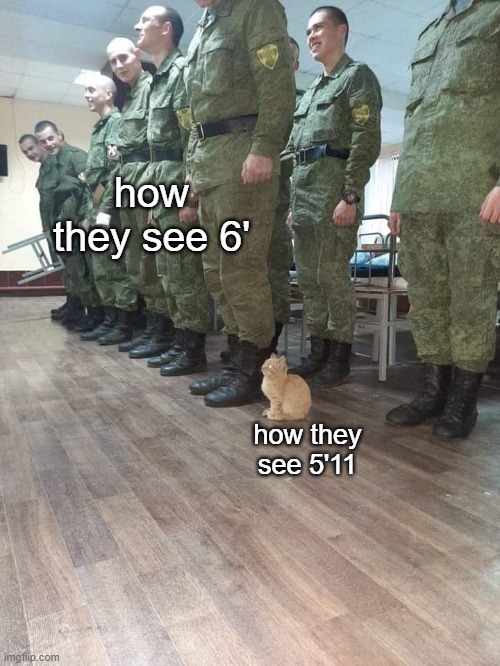 alexa play the Short King Anthem | how they see 6'; how they see 5'11 | image tagged in memes,height | made w/ Imgflip meme maker