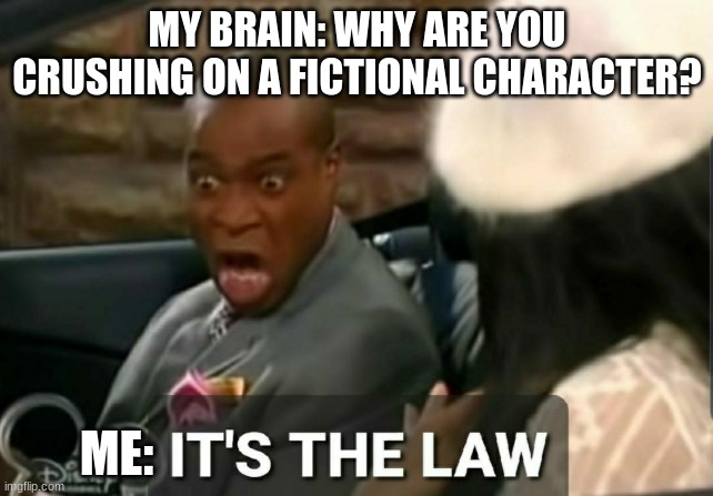 It's the law | MY BRAIN: WHY ARE YOU CRUSHING ON A FICTIONAL CHARACTER? ME: | image tagged in it's the law | made w/ Imgflip meme maker