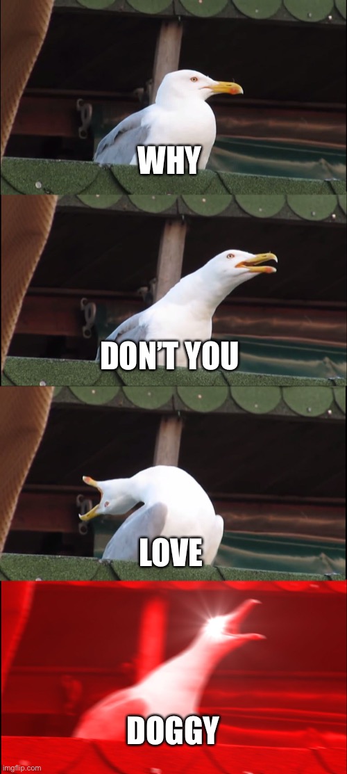 Me in piggy | WHY; DON’T YOU; LOVE; DOGGY | image tagged in memes,inhaling seagull | made w/ Imgflip meme maker