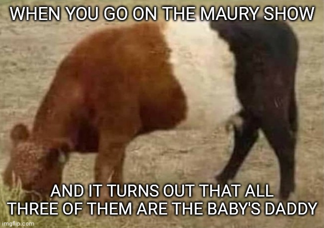 WHEN YOU GO ON THE MAURY SHOW; AND IT TURNS OUT THAT ALL THREE OF THEM ARE THE BABY'S DADDY | made w/ Imgflip meme maker