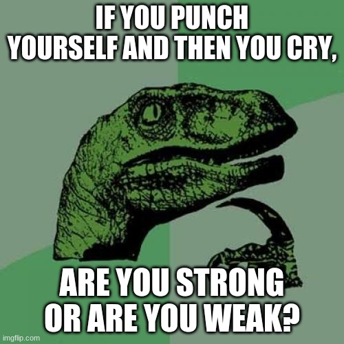 A Good Question. Post your thoughts in the comments. | IF YOU PUNCH YOURSELF AND THEN YOU CRY, ARE YOU STRONG OR ARE YOU WEAK? | image tagged in memes,philosoraptor | made w/ Imgflip meme maker