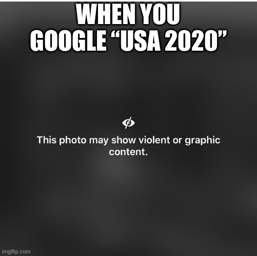 USA 2020 | WHEN YOU GOOGLE “USA 2020” | image tagged in 2020 | made w/ Imgflip meme maker