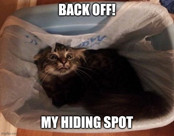 KITTY ISN'T TRASH | BACK OFF! MY HIDING SPOT | image tagged in cats,funny cats | made w/ Imgflip meme maker