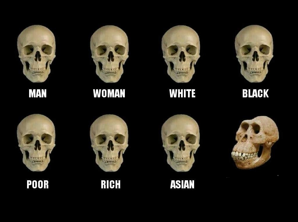 Human Vs chimp Blank Meme Template