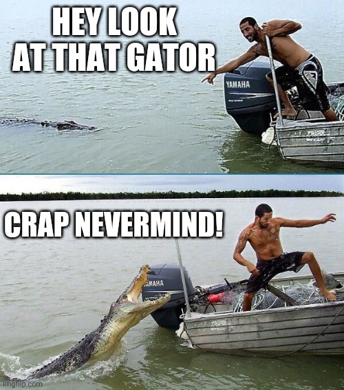 GET A CLOSE UP | HEY LOOK AT THAT GATOR; CRAP NEVERMIND! | image tagged in alligator,memes,fail | made w/ Imgflip meme maker