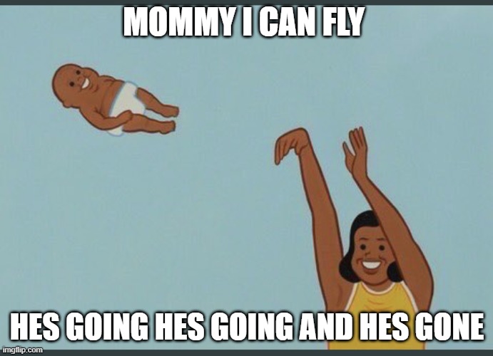 baby yeet | MOMMY I CAN FLY; HES GOING HES GOING AND HES GONE | image tagged in baby yeet | made w/ Imgflip meme maker