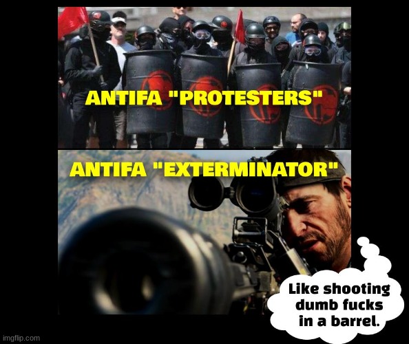 The only good terrorist is a dead one | image tagged in antifa,terrorists,politics,political | made w/ Imgflip meme maker