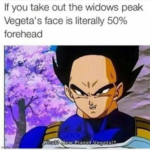 Thank god Vegita doesn’t look like that | image tagged in dbz | made w/ Imgflip meme maker