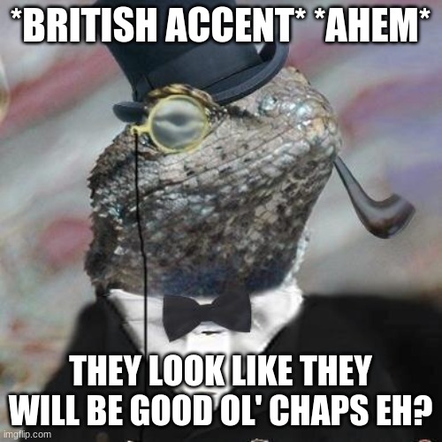 Lizard Squad | *BRITISH ACCENT* *AHEM* THEY LOOK LIKE THEY WILL BE GOOD OL' CHAPS EH? | image tagged in lizard squad | made w/ Imgflip meme maker