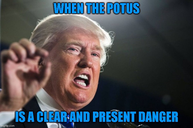 Calls on military to put down protests. Easiest solution is to arrest Trump and try him at a military tribunal | WHEN THE POTUS; IS A CLEAR AND PRESENT DANGER | image tagged in donald trump,careful what you ask for | made w/ Imgflip meme maker