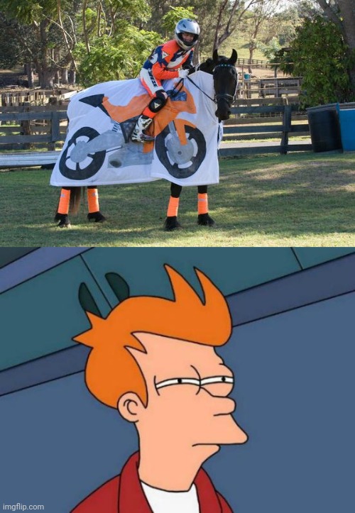WHAT KINDA MOTORCYCLE HAS A HORSE HEAD ON IT? | image tagged in memes,futurama fry,motorcycle,horse | made w/ Imgflip meme maker