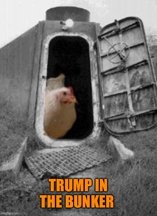 TRUMP IN THE BUNKER | made w/ Imgflip meme maker