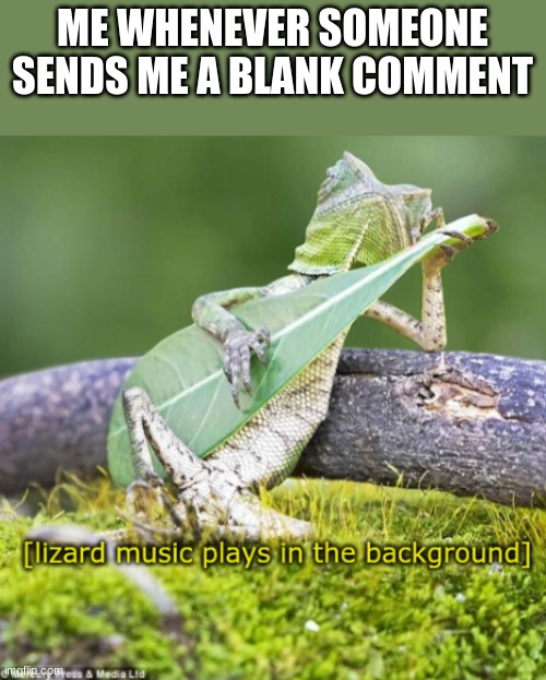 I shall do it mwahaha | ME WHENEVER SOMEONE SENDS ME A BLANK COMMENT | image tagged in lizard | made w/ Imgflip meme maker