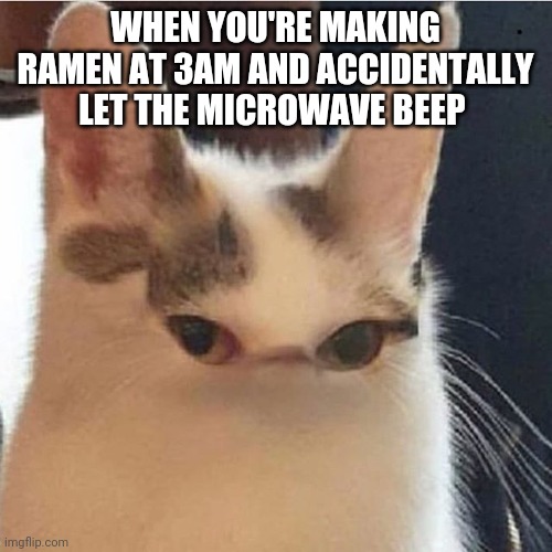 WHEN YOU'RE MAKING RAMEN AT 3AM AND ACCIDENTALLY LET THE MICROWAVE BEEP | made w/ Imgflip meme maker