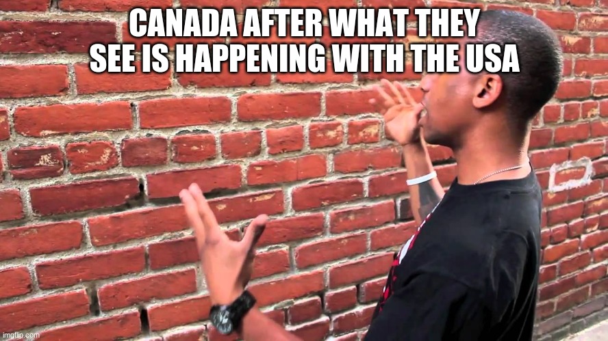 Talking to wall | CANADA AFTER WHAT THEY SEE IS HAPPENING WITH THE USA | image tagged in talking to wall | made w/ Imgflip meme maker