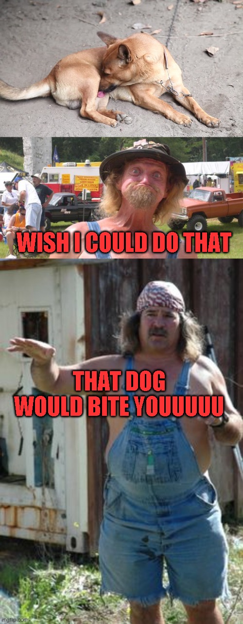 Old joke, but still funny | WISH I COULD DO THAT; THAT DOG WOULD BITE YOUUUUU | image tagged in just a joke | made w/ Imgflip meme maker