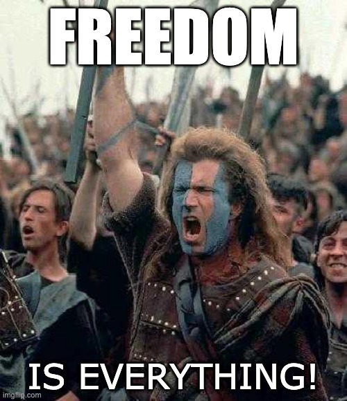 Freedom -is Everything | FREEDOM; IS EVERYTHING! | image tagged in braveheart | made w/ Imgflip meme maker