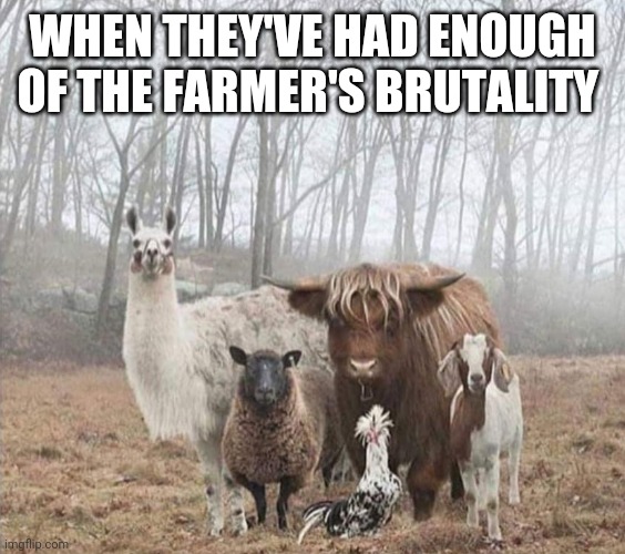 Farm lives matter | WHEN THEY'VE HAD ENOUGH OF THE FARMER'S BRUTALITY | image tagged in farm animals,riot,block,tractor,farmer,privilege | made w/ Imgflip meme maker