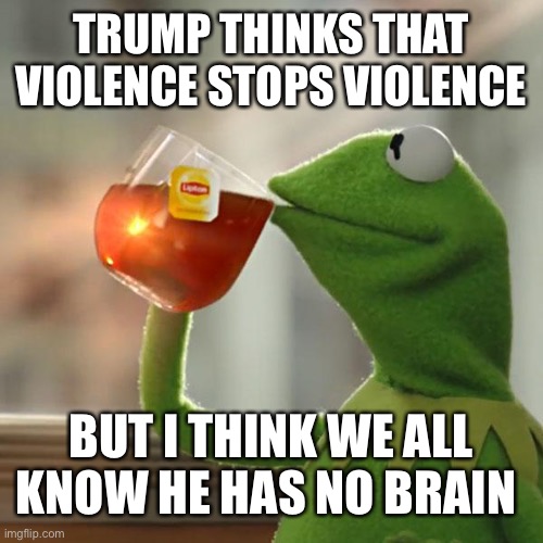 Just the truth | TRUMP THINKS THAT VIOLENCE STOPS VIOLENCE; BUT I THINK WE ALL KNOW HE HAS NO BRAIN | image tagged in memes,but that's none of my business,kermit the frog,donald trump,trump,black lives matter | made w/ Imgflip meme maker