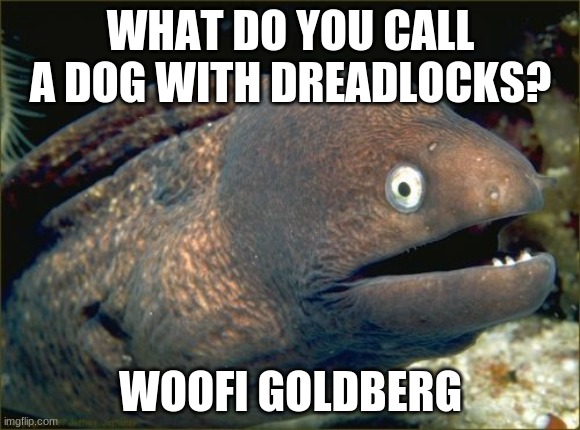 I sure hope nobody else came up with this already. | WHAT DO YOU CALL A DOG WITH DREADLOCKS? WOOFI GOLDBERG | image tagged in memes,bad joke eel,dog,whoopi goldberg,i was bored | made w/ Imgflip meme maker