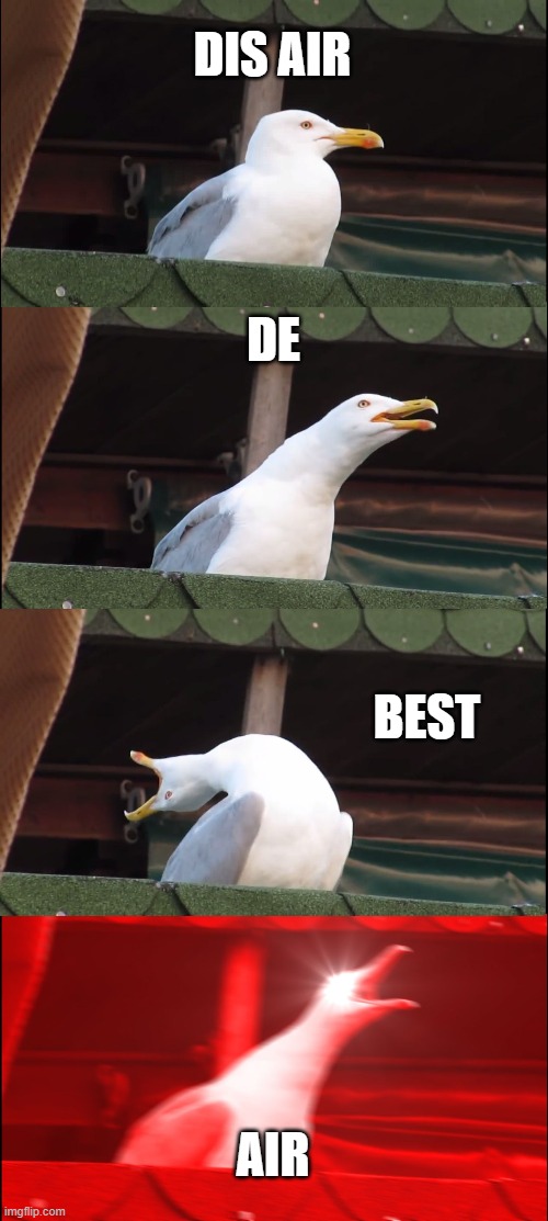 Inhaling Seagull | DIS AIR; DE; BEST; AIR | image tagged in memes,inhaling seagull | made w/ Imgflip meme maker