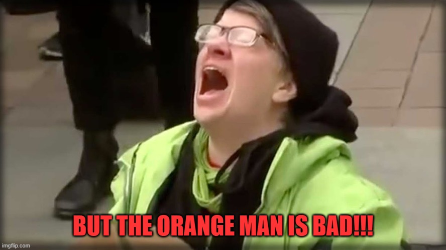 Trump SJW No | BUT THE ORANGE MAN IS BAD!!! | image tagged in trump sjw no | made w/ Imgflip meme maker
