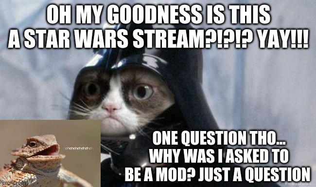 Grumpy Cat Star Wars | OH MY GOODNESS IS THIS A STAR WARS STREAM?!?!? YAY!!! ONE QUESTION THO... WHY WAS I ASKED TO BE A MOD? JUST A QUESTION | image tagged in memes,grumpy cat star wars,grumpy cat | made w/ Imgflip meme maker