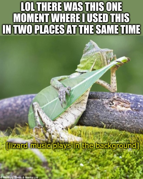 Lizard | LOL THERE WAS THIS ONE MOMENT WHERE I USED THIS IN TWO PLACES AT THE SAME TIME | image tagged in lizard | made w/ Imgflip meme maker