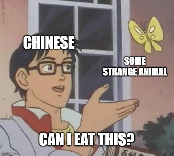 Chineses | CHINESE; SOME STRANGE ANIMAL; CAN I EAT THIS? | image tagged in memes,is this a pigeon | made w/ Imgflip meme maker