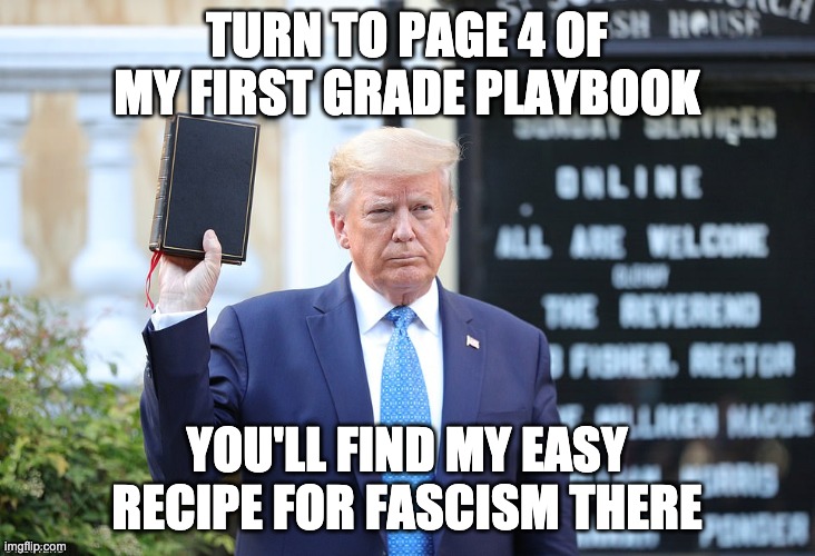 My copy of Mein Kampf | TURN TO PAGE 4 OF MY FIRST GRADE PLAYBOOK; YOU'LL FIND MY EASY RECIPE FOR FASCISM THERE | image tagged in donald trump,bible,donald trump the clown,deplorable donald | made w/ Imgflip meme maker