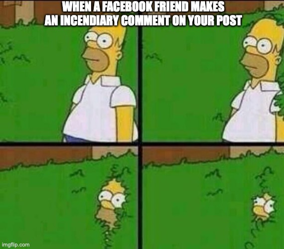 Do I know you? | WHEN A FACEBOOK FRIEND MAKES AN INCENDIARY COMMENT ON YOUR POST | image tagged in homer simpson in bush - large,facebook,flame war,comments,embarrassing | made w/ Imgflip meme maker