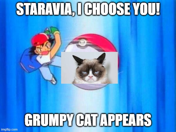 a grumpy poke-battle | STARAVIA, I CHOOSE YOU! GRUMPY CAT APPEARS | image tagged in i choose you | made w/ Imgflip meme maker