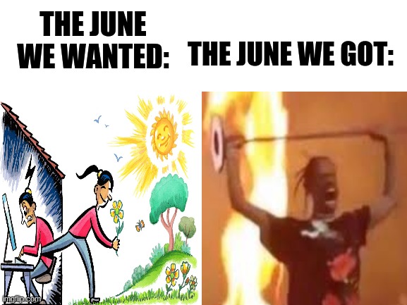 "I hope June gets better" | THE JUNE WE WANTED:; THE JUNE WE GOT: | image tagged in june,2020,protesters | made w/ Imgflip meme maker