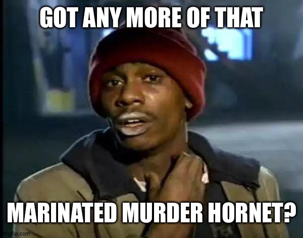 Y'all Got Any More Of That | GOT ANY MORE OF THAT; MARINATED MURDER HORNET? | image tagged in memes,y'all got any more of that | made w/ Imgflip meme maker