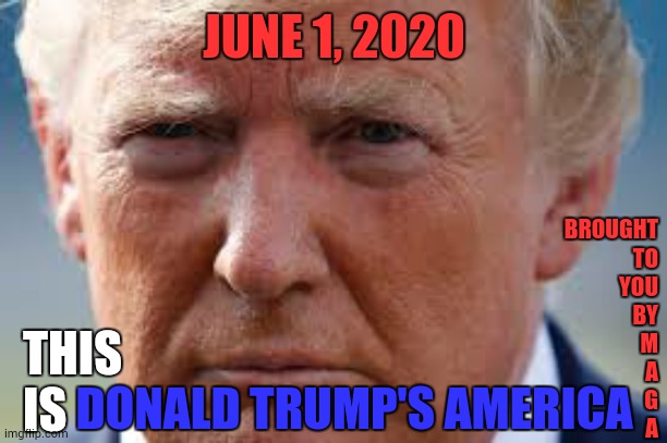 Bunker Baby | JUNE 1, 2020; BROUGHT
TO
YOU
BY

M
A
G
A; THIS IS; DONALD TRUMP'S AMERICA | image tagged in memes,trump unfit unqualified dangerous,liar in chief,riots,donald trump is an idiot,trump sucks | made w/ Imgflip meme maker