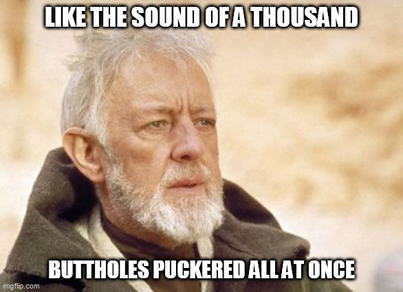 Obi Wan Kenobi |  LIKE THE SOUND OF A THOUSAND; BUTTHOLES PUCKERED ALL AT ONCE | image tagged in memes,obi wan kenobi | made w/ Imgflip meme maker