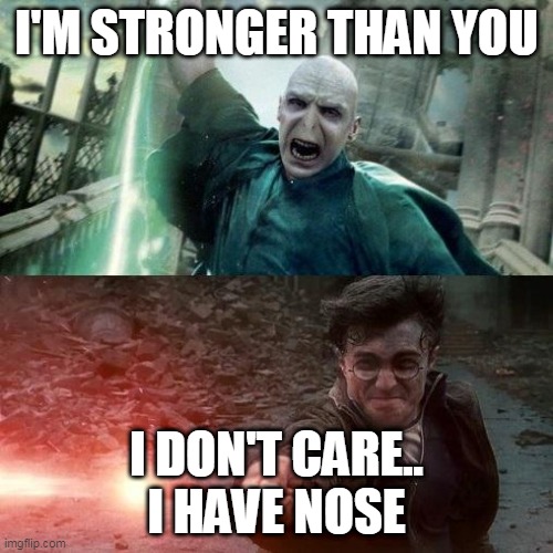 #boredism | I'M STRONGER THAN YOU; I DON'T CARE.. I HAVE NOSE | image tagged in harry potter meme | made w/ Imgflip meme maker