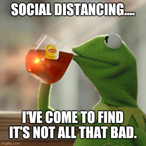 But That's None Of My Business | SOCIAL DISTANCING.... I'VE COME TO FIND IT'S NOT ALL THAT BAD. | image tagged in memes,but that's none of my business,kermit the frog | made w/ Imgflip meme maker