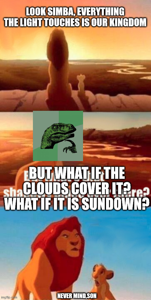 Simba Shadowy Place | LOOK SIMBA, EVERYTHING THE LIGHT TOUCHES IS OUR KINGDOM; BUT WHAT IF THE CLOUDS COVER IT? WHAT IF IT IS SUNDOWN? NEVER MIND,SON | image tagged in memes,simba shadowy place | made w/ Imgflip meme maker