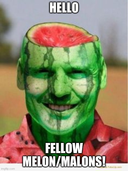 Yay! Glad this is a thing:) |  HELLO; FELLOW MELON/MALONS! | image tagged in watermelon guy | made w/ Imgflip meme maker