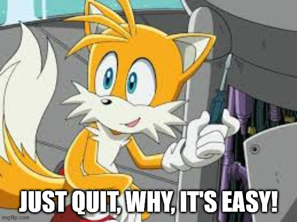 JUST QUIT, WHY, IT'S EASY! | image tagged in tails working on a plane insert top text insert bottom text | made w/ Imgflip meme maker