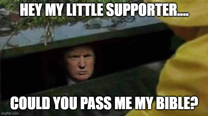 This is who "it" is. | HEY MY LITTLE SUPPORTER.... COULD YOU PASS ME MY BIBLE? | image tagged in trump pennywise | made w/ Imgflip meme maker