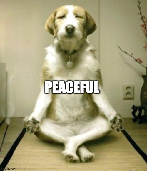 Inner Peace Dog | PEACEFUL | image tagged in inner peace dog | made w/ Imgflip meme maker