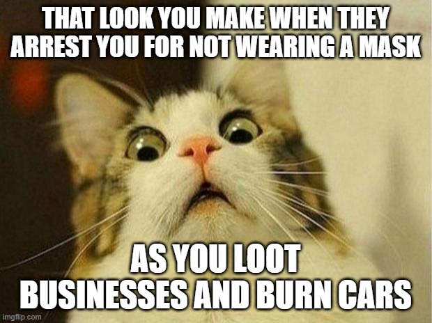 Arresting Me for What? | THAT LOOK YOU MAKE WHEN THEY ARREST YOU FOR NOT WEARING A MASK; AS YOU LOOT BUSINESSES AND BURN CARS | image tagged in memes,scared cat,looting,rioting,mask,coronavirus | made w/ Imgflip meme maker