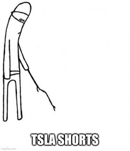 c'mon do something | TSLA SHORTS | image tagged in c'mon do something | made w/ Imgflip meme maker