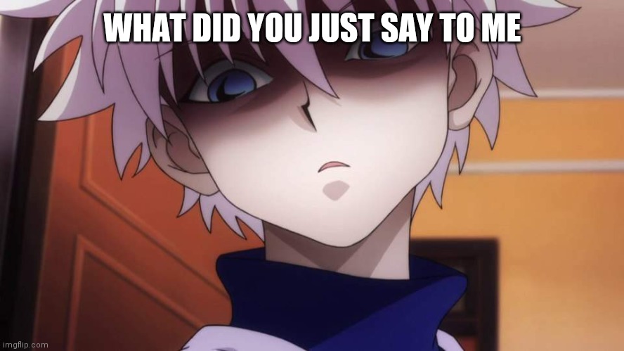 Killua | WHAT DID YOU JUST SAY TO ME | image tagged in killua | made w/ Imgflip meme maker