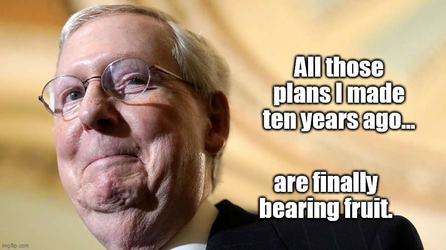 All those plans I made ten years ago... are finally bearing fruit. | image tagged in mitch mcconnell,architect of anarchy | made w/ Imgflip meme maker